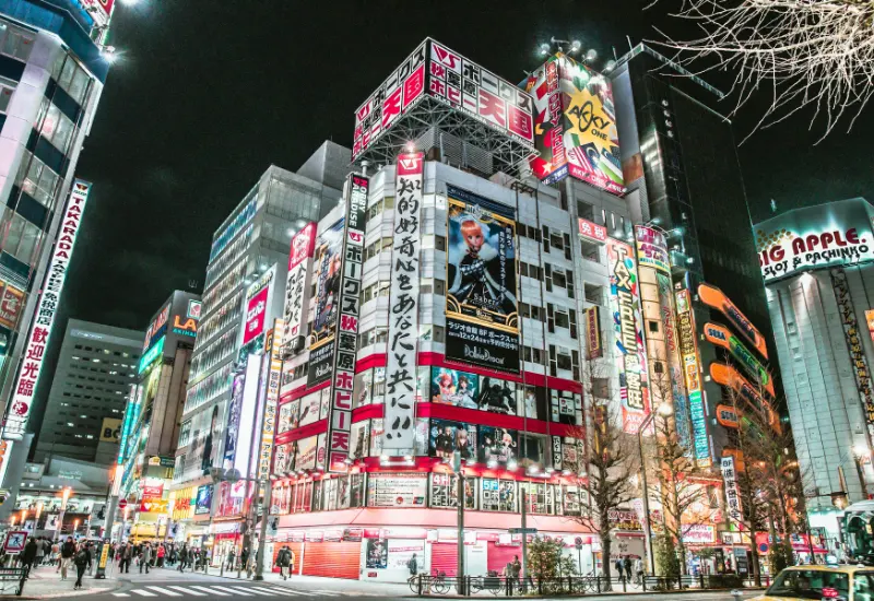 Tokyo Custom Tour for Families