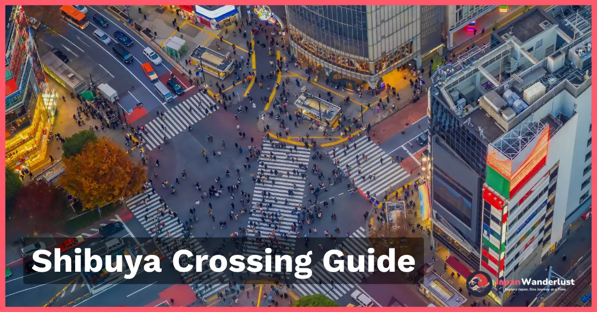 Shibuya crossing aerial viewpoint photo