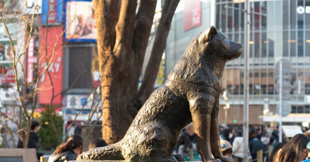 Hachiko outside Shibuya Station