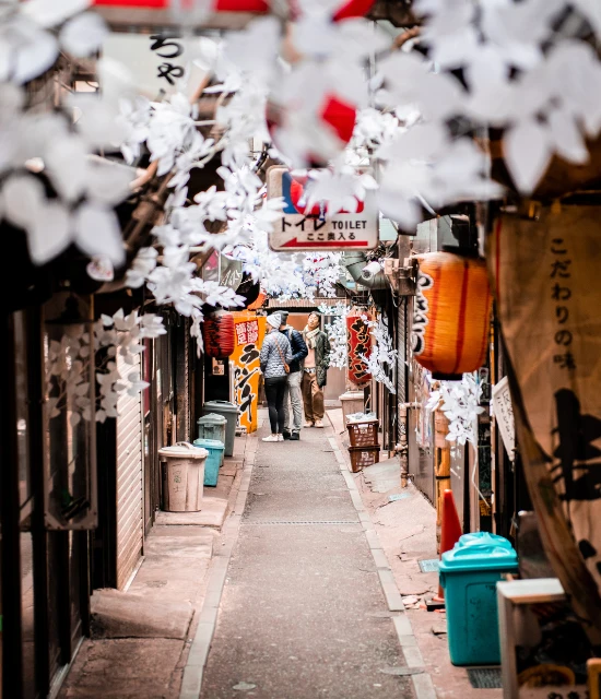 Traditional narrow alley in Tokyo with izakaya lanterns and local restaurants, featured on a private Tokyo walking tour.